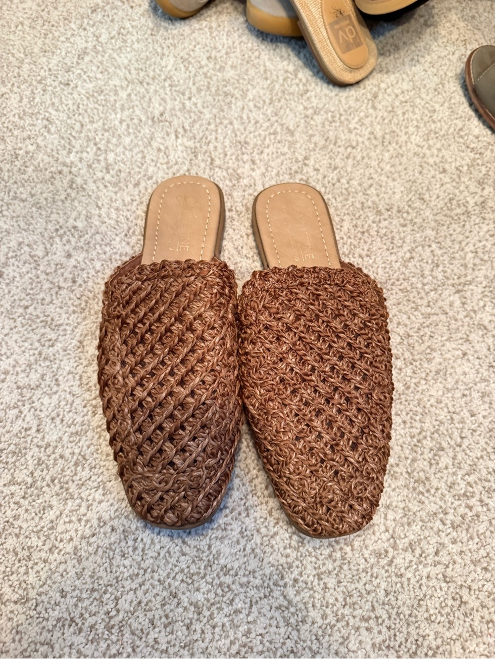 CATHERINE Woven Slip-On Mules in Brown